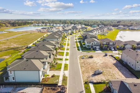 Berry Bay by M/I Homes in Wimauma - photo 14 14