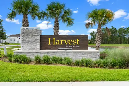 Harvest at Ovation - Townhomes by Rockwell Homes in Winter Garden - image 2