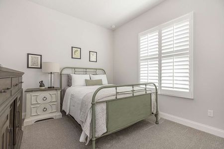 The Reserve at Victoria by Paytas Homes in Deland - image 10