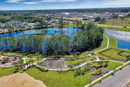Harvest at Ovation - Townhomes by Rockwell Homes in Winter Garden - image 13