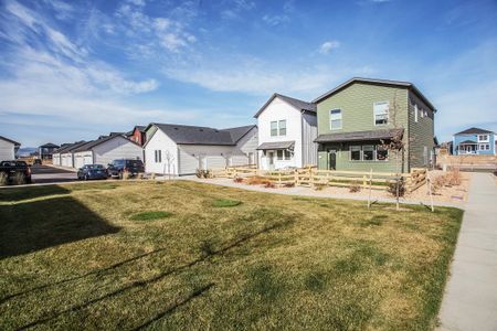 Bloom Cottages 60