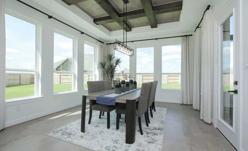 Sunterra by Brightland Homes in Katy - photo 34 34