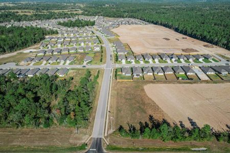 Sterling Ridge by Stylecraft Builders in Huntsville - image 5