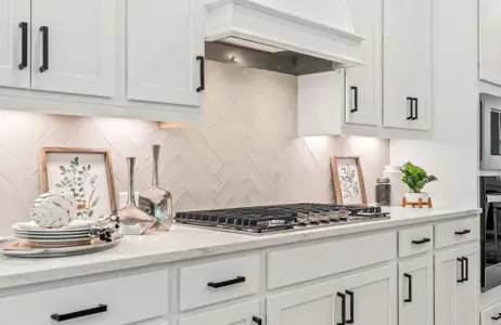 Enclave at Little Ridge by Traton Homes in Acworth - image 5