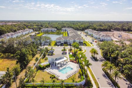 Sienna Park at University by M/I Homes in Sarasota - photo 3 3