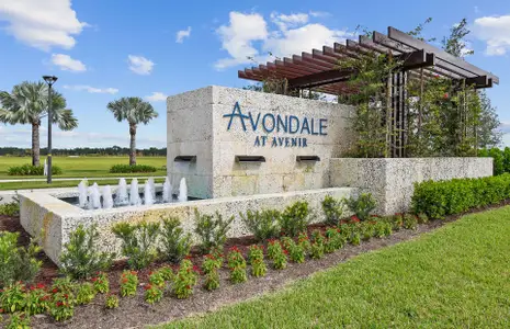 Avondale at Avenir by DiVosta in Palm Beach Gardens - image