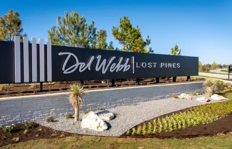 Del Webb Austin at Lost Pines by Del Webb in Bastrop - image