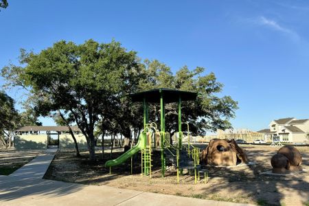 Sage Hollow by Milestone Community Builders in Kyle - photo 7 7