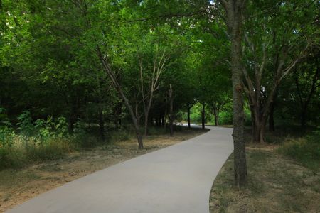 Treeline by American Legend Homes in Justin - image 9