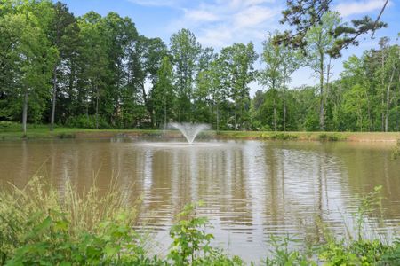 Fishing Lake at McEwen Village in Mint Hill