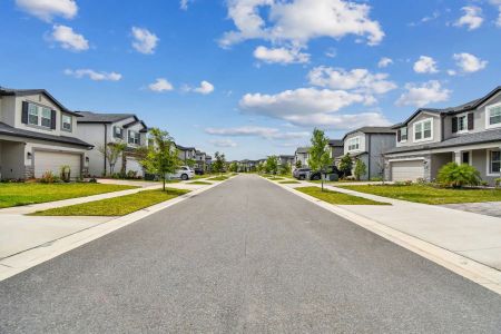 Chapel Crossings - Master planned community in Wesley Chapel, FL 17 17