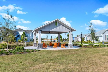 Persimmon Park - Garden Series by David Weekley Homes in Wesley Chapel - photo 4 4