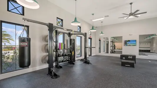 SkySail by Neal Communities in Naples - image 8