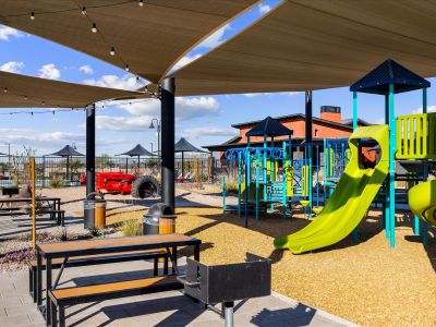 Silva Farms - Reserve Series by Meritage Homes in Goodyear - image 13