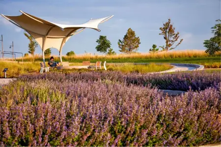 Painted Prairie by Century Communities in Aurora - image