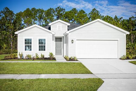 Seminole Palms by Ryan Homes in Palm Coast - photo 0 0