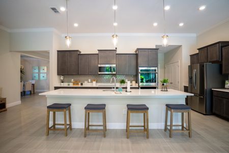 Sorrento & Mount Dora by Maronda Homes in Mount Dora - photo 38 38