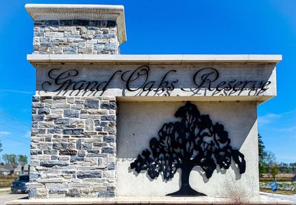 Grand Oaks Reserve by Kendall Homes in Cleveland - image