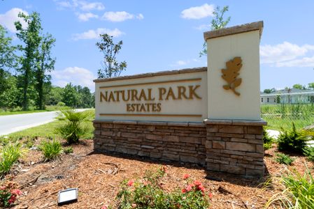 Natural Park Estates by Adams Homes in Jacksonville - photo 0 0