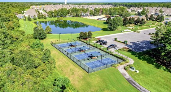 Bird Song at Hammock Bay by DSLD Homes in Freeport - image 5