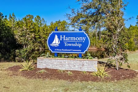 Harmony Township by Hunter Quinn Homes in Georgetown - photo 12 12