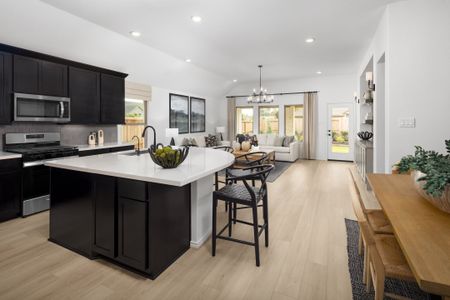 The Highlands 45' by Coventry Homes in Porter - image 16