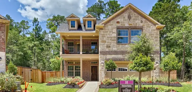 The Woodlands Hills by Chesmar Homes in Willis - photo 2 2