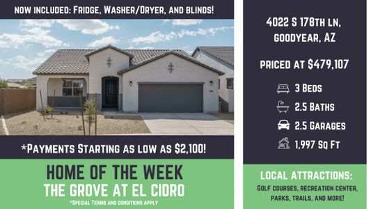 The Grove at El Cidro by William Ryan Homes in Goodyear - photo 85 85