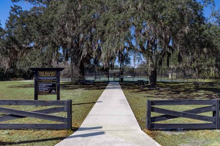 Pine Meadows Reserve by Trinity Family Builders in Eustis - image 16