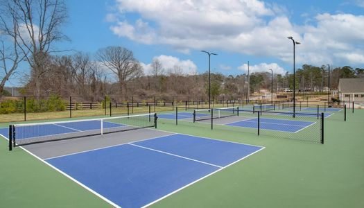 Ponderosa Farms by Chafin Communities in Gainesville - photo 88 88