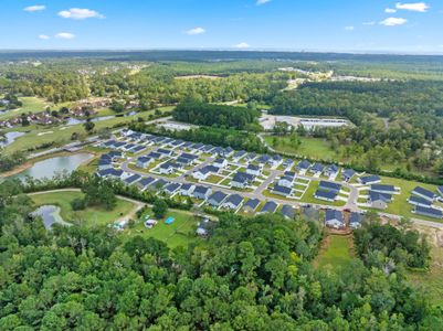 Seaside Palms by Dream Finders Homes in Sunset Beach - image 11