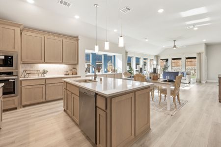 Arcadia Trails by Bloomfield Homes in Balch Springs - image 9
