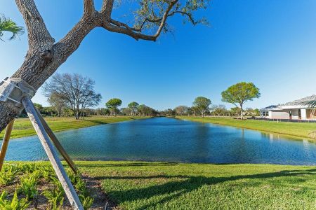 Lucaya Pointe by GHO Homes in Vero Beach - photo 6 6