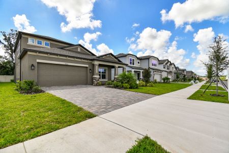 Hilltop Point by M/I Homes in Dade City - photo 32 32