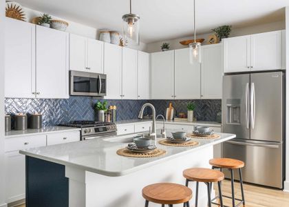 NoVi Chatham Park - The Mews Collection by David Weekley Homes in Pittsboro - image 4