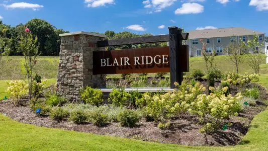 Blair Ridge by D.R. Horton in La Vergne - image