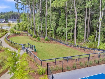 Hammock Walk at Nexton by Ashton Woods in Summerville - image 8