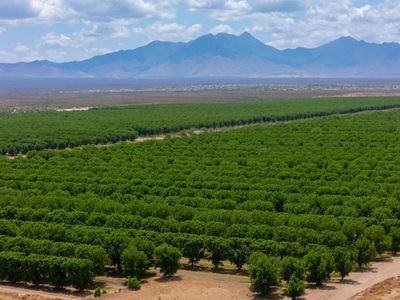 Las Ventanas at Entrada del Toro at Rancho Sahuarita 29