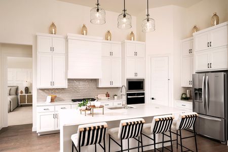 Solterra Texas 60' by Coventry Homes in Mesquite - image 10