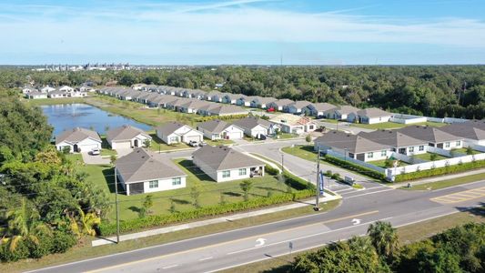 Brighton Pointe by D.R. Horton in Fort Myers - image