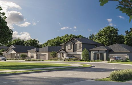 Sabana Reserve by Estela Living in Ocala - image 4