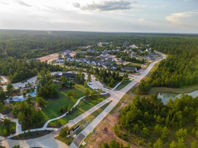 Kesston 60' by Newmark Homes in Montgomery - image