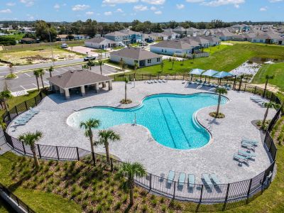 Hammock Reserve by D.R. Horton in Haines City - photo