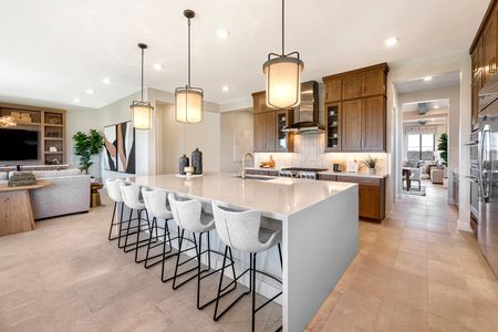 Avocet at Waterston Central by Tri Pointe Homes in Gilbert - photo 26 26