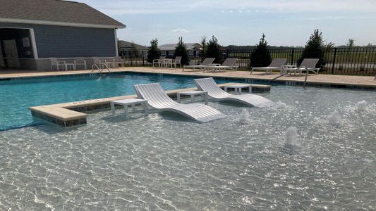 Jordanville Farms by D.R. Horton in Galivants Ferry - image