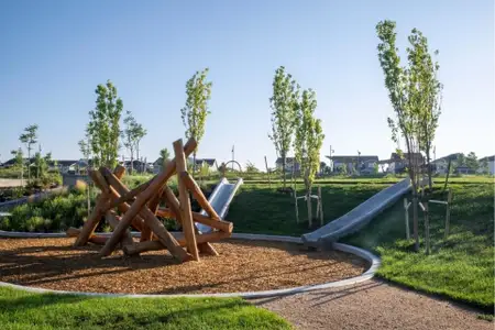 The Haven I Collection at Painted Prairie 14