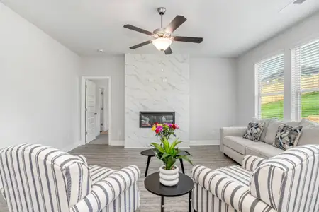 Harley Farms South by Peachtree Building Group in Bonaire - image 9