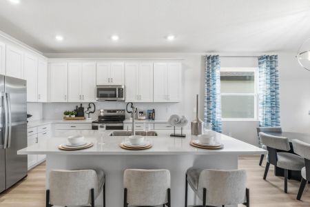 Coasterra by M/I Homes in Palmetto - image 6