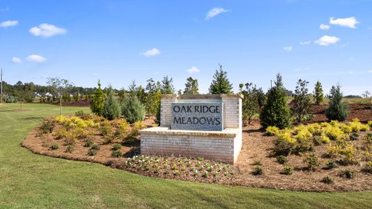 Oak Ridge Meadows by D.R. Horton in Locust Grove - photo 1 1