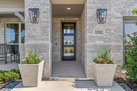 North Sky 55s by American Legend Homes in Celina - photo 13 13